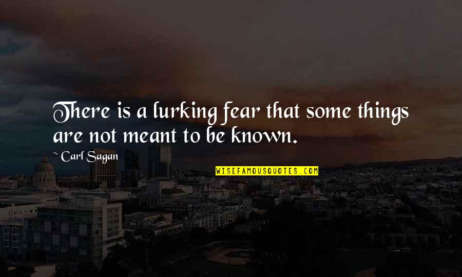 Lurking Quotes By Carl Sagan: There is a lurking fear that some things