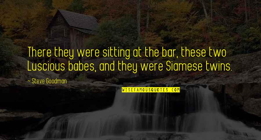 Luscious Quotes By Steve Goodman: There they were sitting at the bar, these