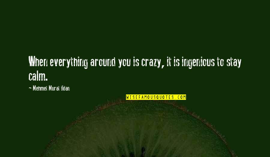 Luscombe Silvaire Quotes By Mehmet Murat Ildan: When everything around you is crazy, it is Luscombe Silvaire Quotes By Mehmet Murat Ildan: When everything around you is crazy, it is