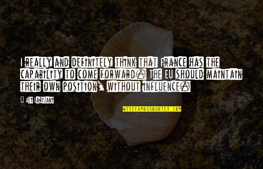 Lushness Catskills Quotes By Ali Larijani: I really and definitely think that France has Lushness Catskills Quotes By Ali Larijani: I really and definitely think that France has