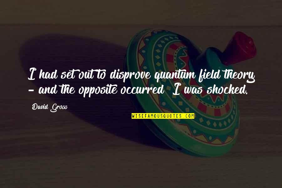 Lusine Bread Quotes By David Gross: I had set out to disprove quantum field