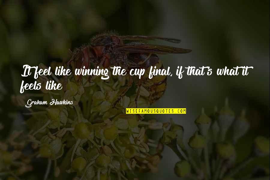 Lussy Sweet Quotes By Graham Hawkins: It feel like winning the cup final, if