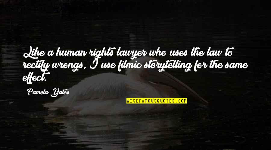Lustige Chat Quotes By Pamela Yates: Like a human rights lawyer who uses the