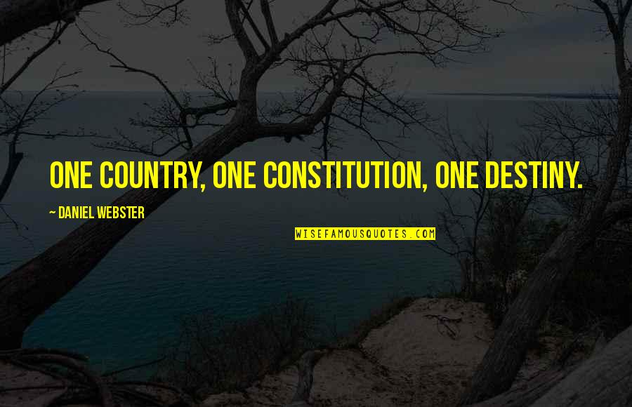 Lustres Quotes By Daniel Webster: One country, one constitution, one destiny.