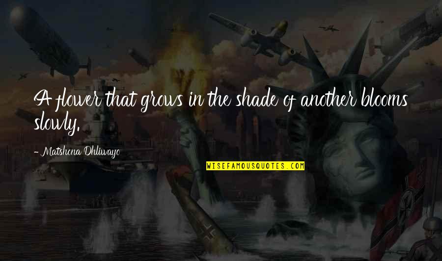 Luthe Quotes By Matshona Dhliwayo: A flower that grows in the shade of Luthe Quotes By Matshona Dhliwayo: A flower that grows in the shade of