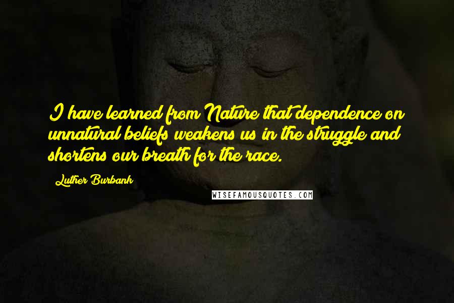 Luther Burbank quotes: I have learned from Nature that dependence on unnatural beliefs weakens us in the struggle and shortens our breath for the race.