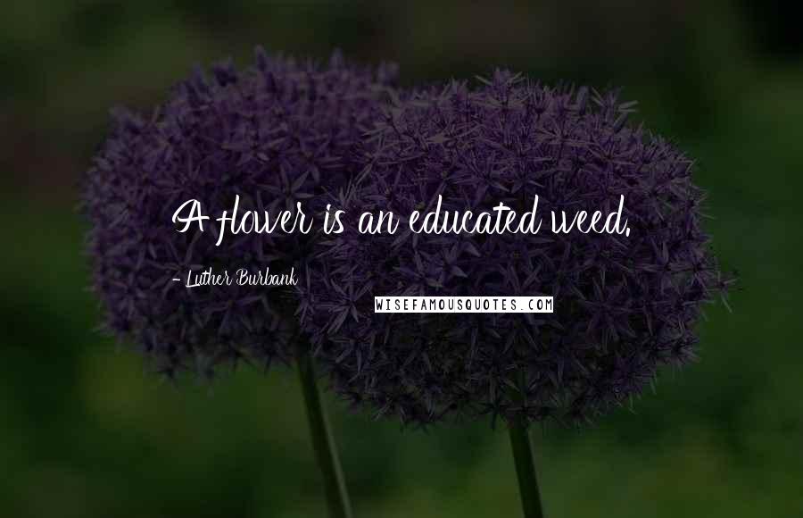 Luther Burbank quotes: A flower is an educated weed.