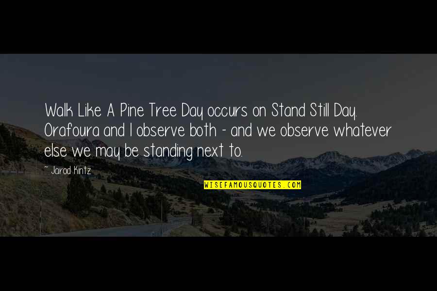 Luv U Quotes By Jarod Kintz: Walk Like A Pine Tree Day occurs on