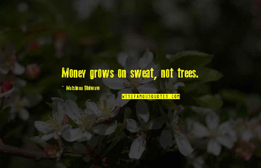 Lux Series Onyx Quotes By Matshona Dhliwayo: Money grows on sweat, not trees.