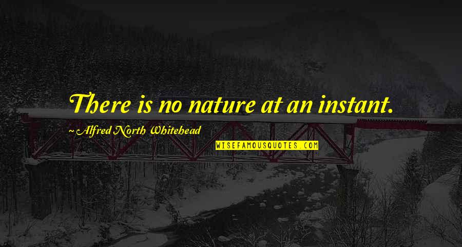 Luxory Quotes By Alfred North Whitehead: There is no nature at an instant.