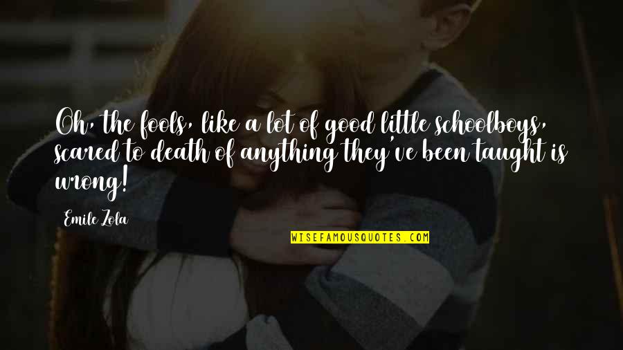 Luz De Esperanza Quotes By Emile Zola: Oh, the fools, like a lot of good