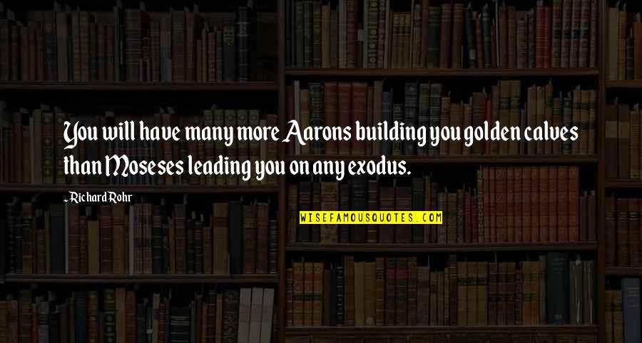 Luzius Crest Quotes By Richard Rohr: You will have many more Aarons building you