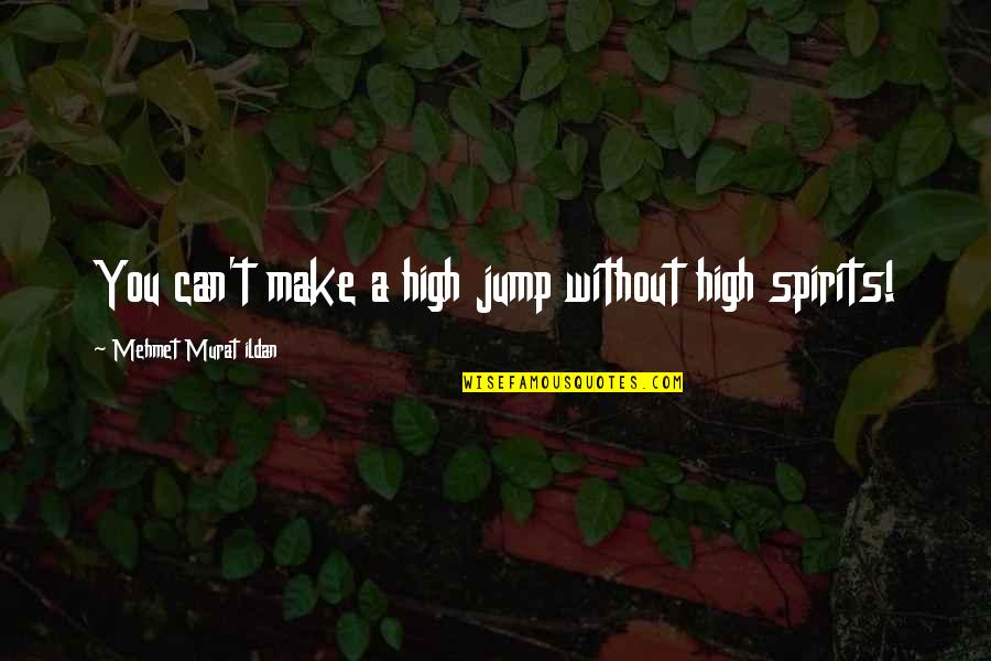 Lviii Quotes By Mehmet Murat Ildan: You can't make a high jump without high