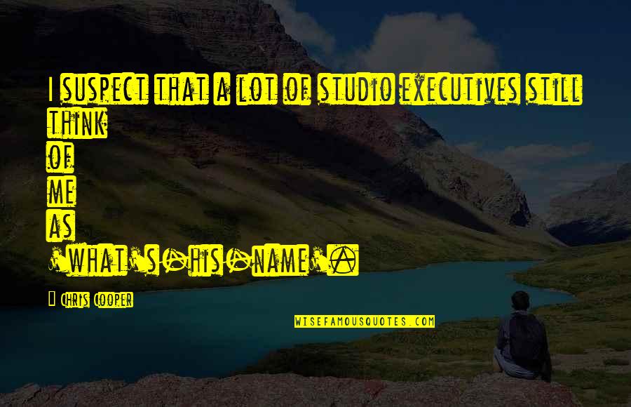 Lvmh Recrutement Quotes By Chris Cooper: I suspect that a lot of studio executives