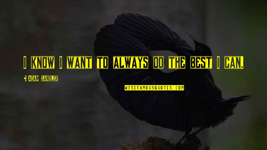 Lvr Rentals Quotes By Adam Sandler: I know I want to always do the Lvr Rentals Quotes By Adam Sandler: I know I want to always do the