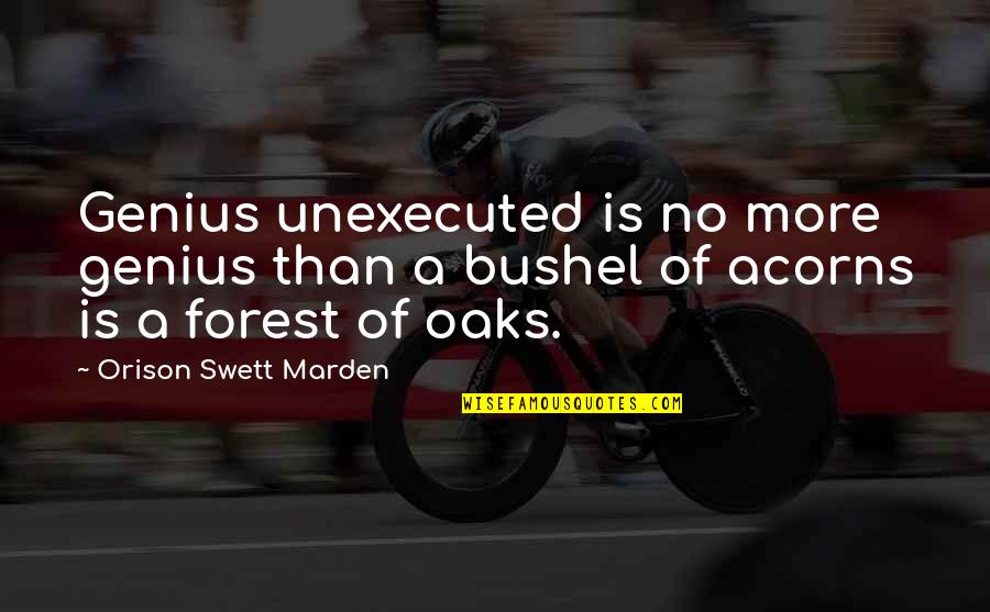 Lvsun Quotes By Orison Swett Marden: Genius unexecuted is no more genius than a Lvsun Quotes By Orison Swett Marden: Genius unexecuted is no more genius than a
