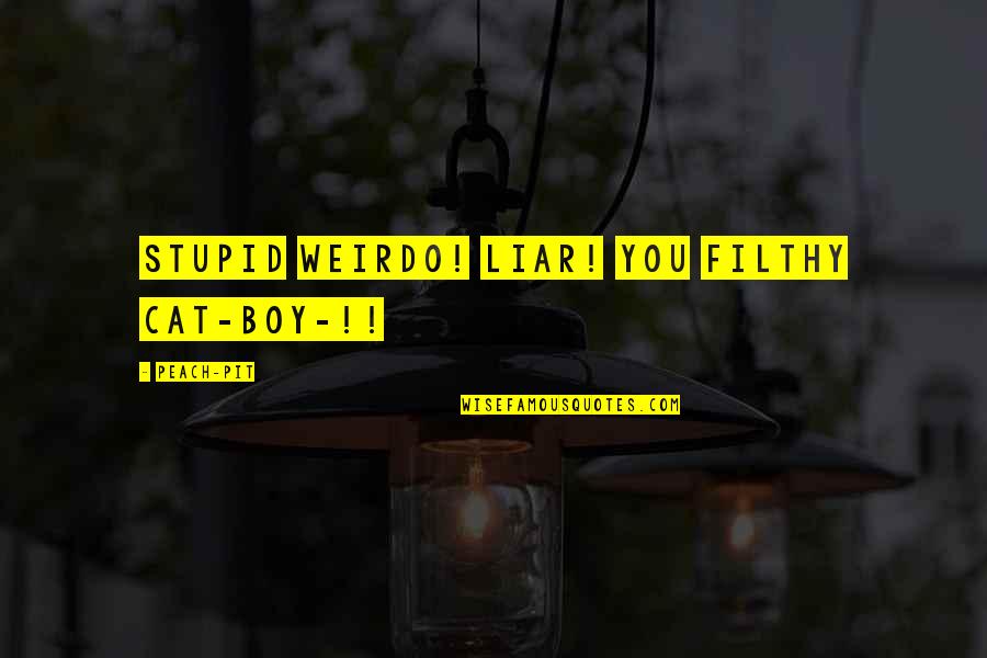 Lxxvii Mean Quotes By Peach-Pit: Stupid weirdo! Liar! You filthy cat-boy-!!