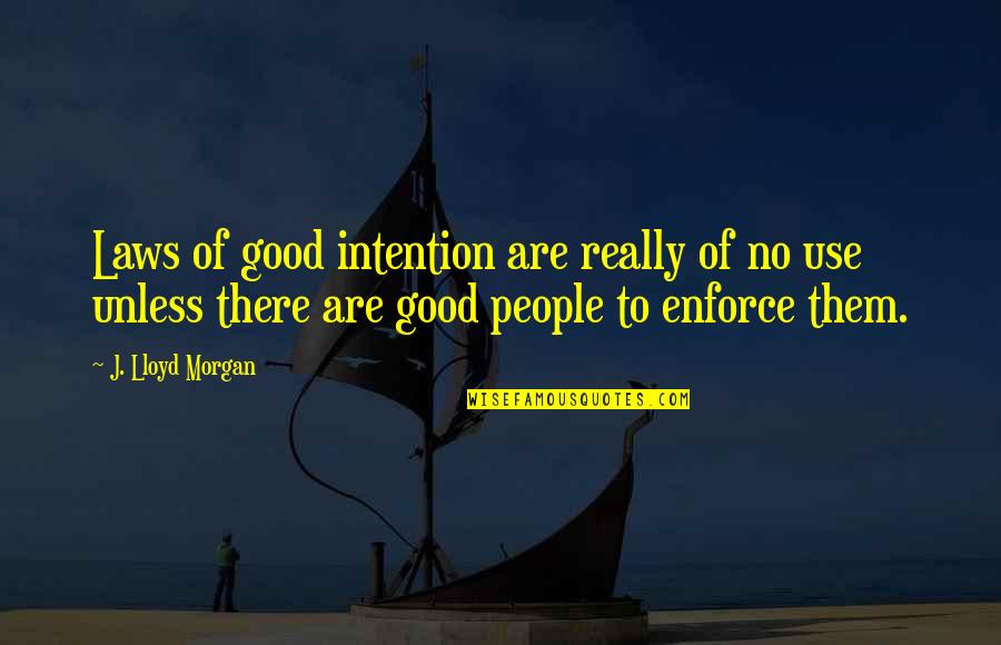 Lxxxi 81 Quotes By J. Lloyd Morgan: Laws of good intention are really of no