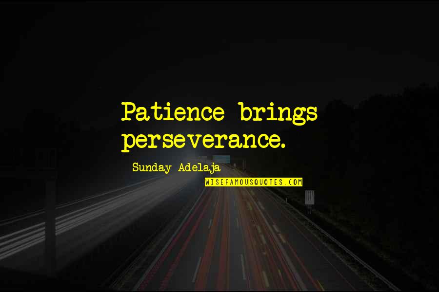 Lybaert Jan Quotes By Sunday Adelaja: Patience brings perseverance. Lybaert Jan Quotes By Sunday Adelaja: Patience brings perseverance.