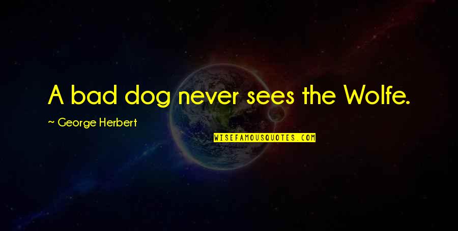 Lycanthropic Quotes By George Herbert: A bad dog never sees the Wolfe.