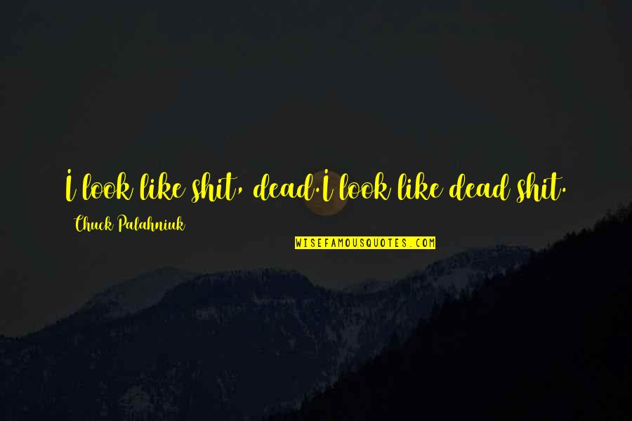 Lyctus Beetle Quotes By Chuck Palahniuk: I look like shit, dead.I look like dead Lyctus Beetle Quotes By Chuck Palahniuk: I look like shit, dead.I look like dead