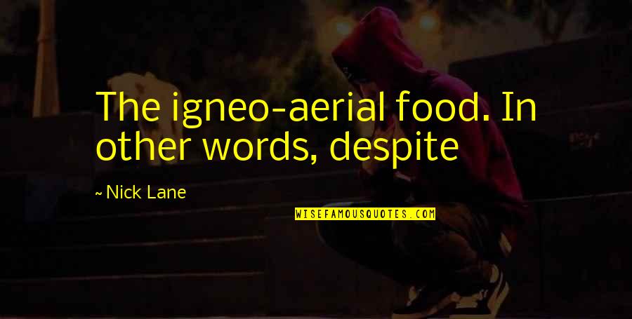 Lyesmith Quotes By Nick Lane: The igneo-aerial food. In other words, despite