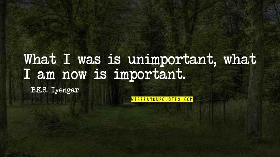 Lying Being Good Quotes By B.K.S. Iyengar: What I was is unimportant, what I am
