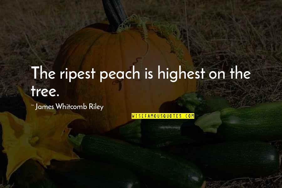 Lying Guys Quotes By James Whitcomb Riley: The ripest peach is highest on the tree.