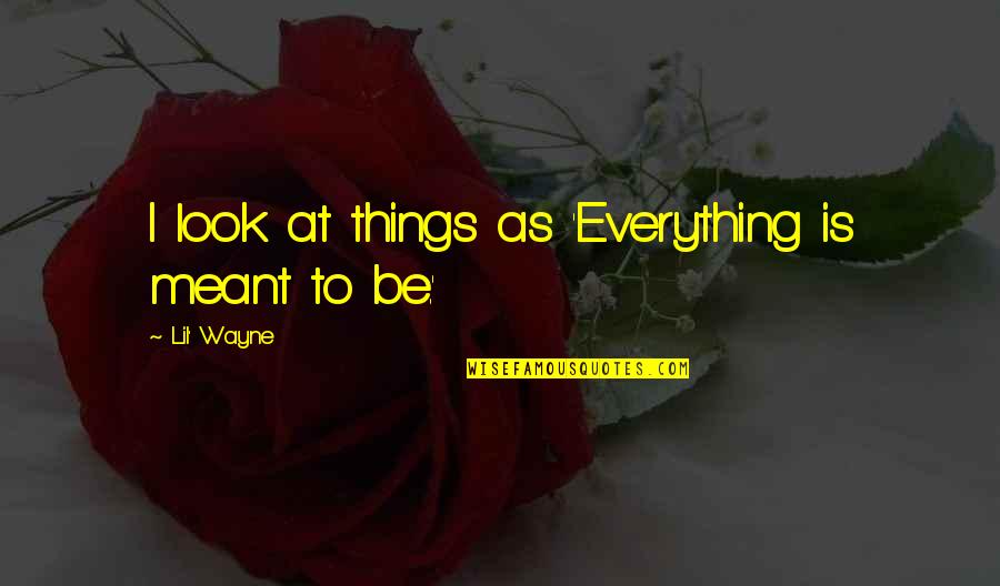 Lying Here Awake Quotes By Lil' Wayne: I look at things as 'Everything is meant