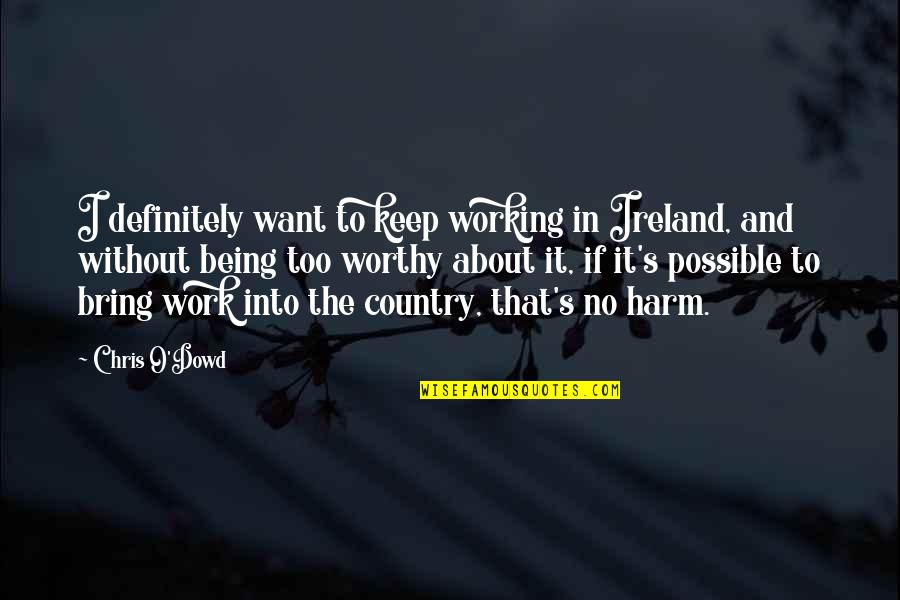 Lying In Bed Thinking Quotes By Chris O'Dowd: I definitely want to keep working in Ireland,
