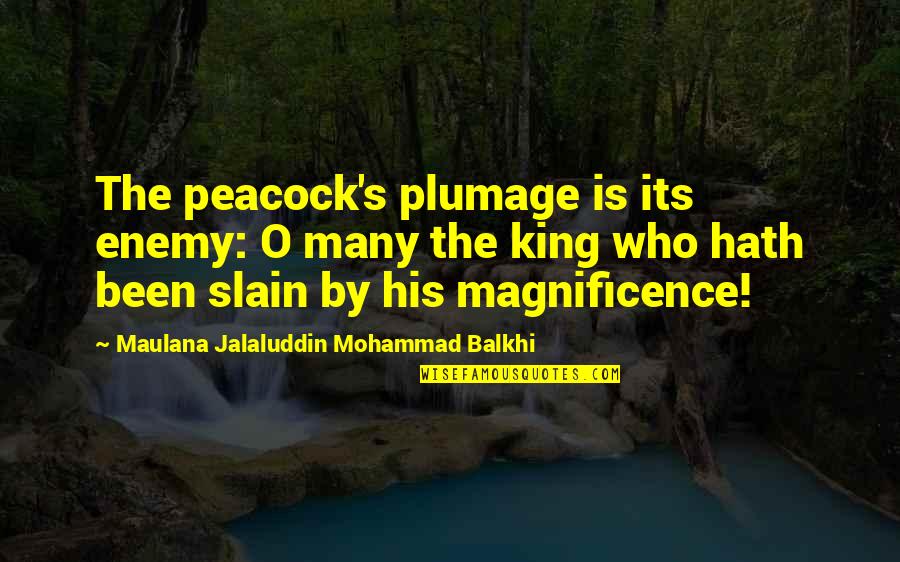 Lying On His Chest Quotes By Maulana Jalaluddin Mohammad Balkhi: The peacock's plumage is its enemy: O many