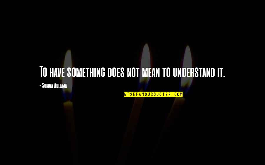 Lyn St James Quotes By Sunday Adelaja: To have something does not mean to understand Lyn St James Quotes By Sunday Adelaja: To have something does not mean to understand