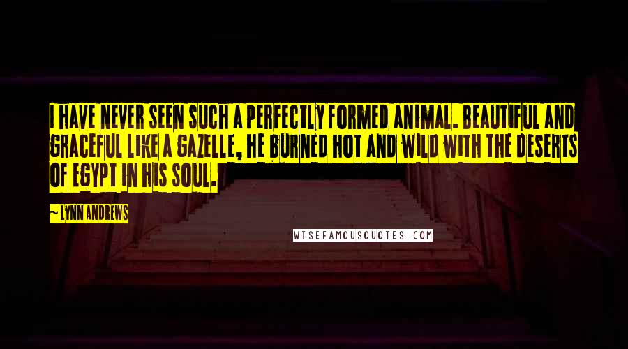 Lynn Andrews quotes: I have never seen such a perfectly formed animal. Beautiful and graceful like a gazelle, he burned hot and wild with the deserts of Egypt in his soul.