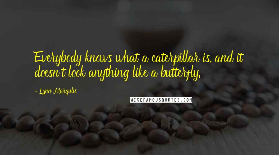 Lynn Margulis quotes: Everybody knows what a caterpillar is, and it doesn't look anything like a butterfly.