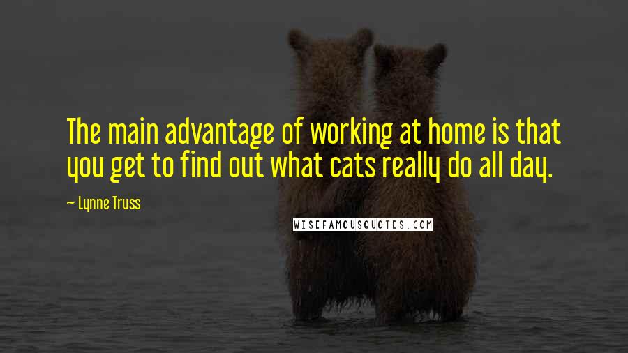 Lynne Truss quotes: The main advantage of working at home is that you get to find out what cats really do all day.