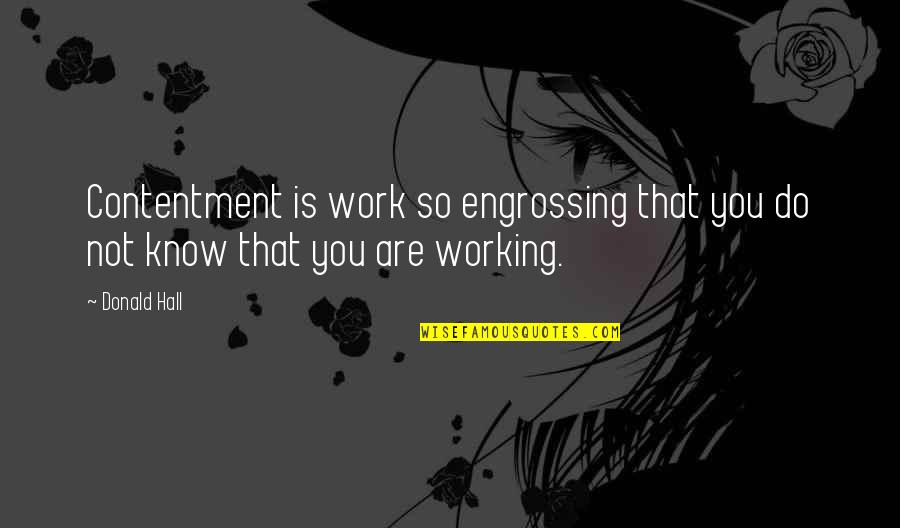 Lynnie Quotes By Donald Hall: Contentment is work so engrossing that you do
