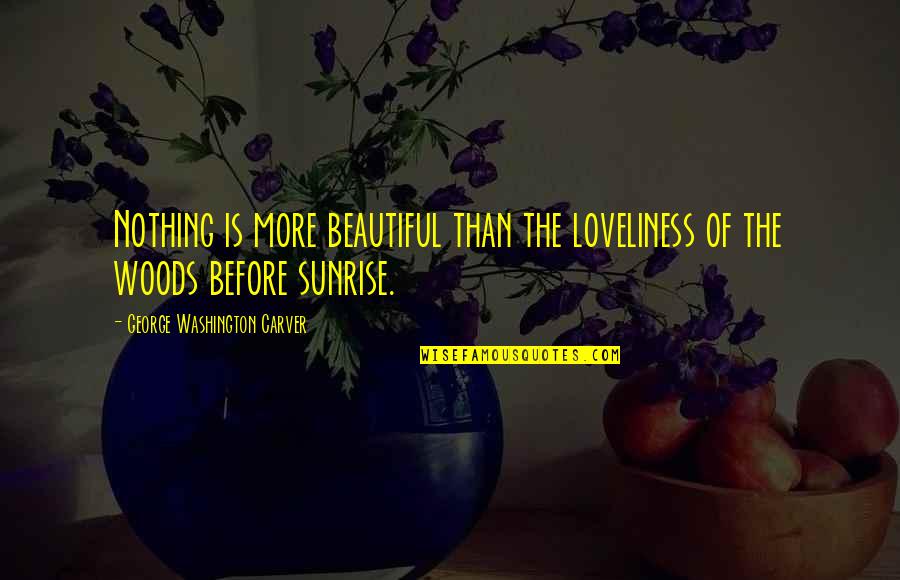 Lynsie Mckeown Quotes By George Washington Carver: Nothing is more beautiful than the loveliness of