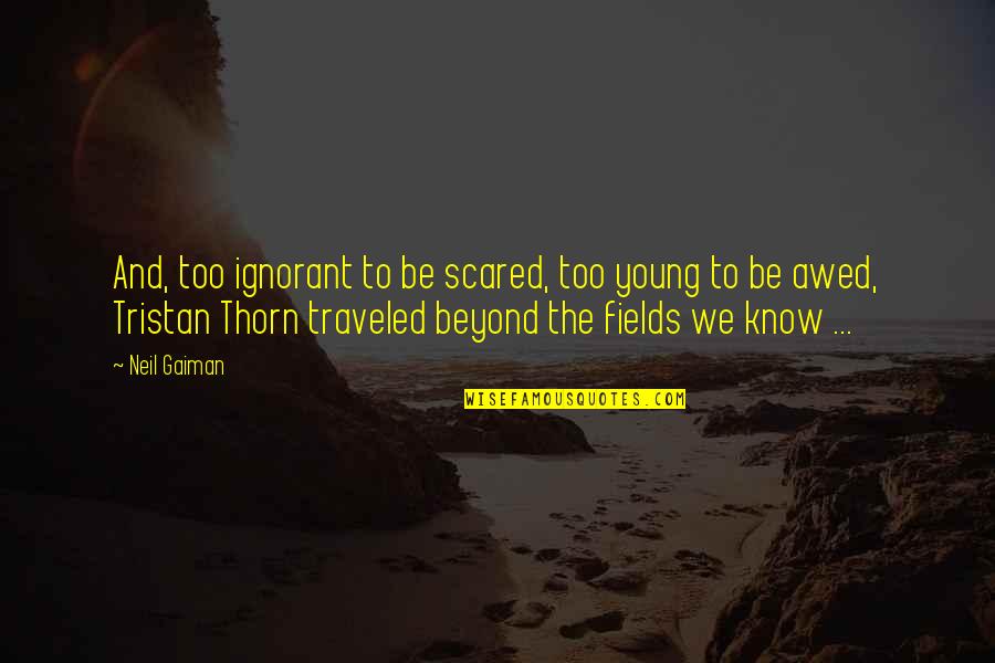 Lynyrd Skynyrd Music Quotes By Neil Gaiman: And, too ignorant to be scared, too young