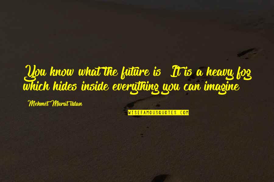 Lyocell Quotes By Mehmet Murat Ildan: You know what the future is? It is