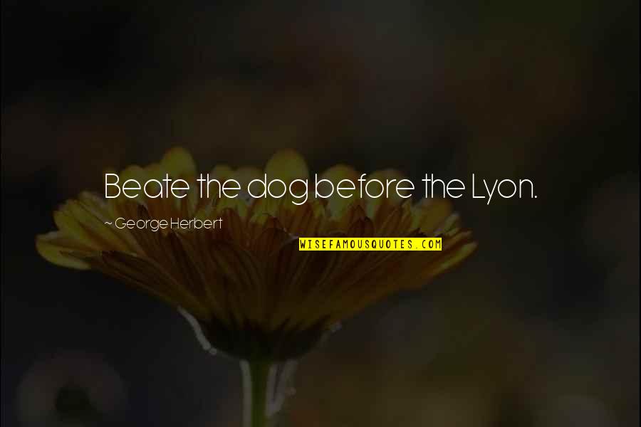 Lyon Quotes By George Herbert: Beate the dog before the Lyon.