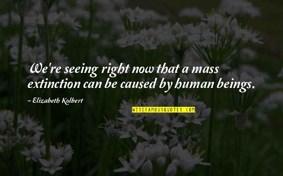 Lyric Description Quotes By Elizabeth Kolbert: We're seeing right now that a mass extinction