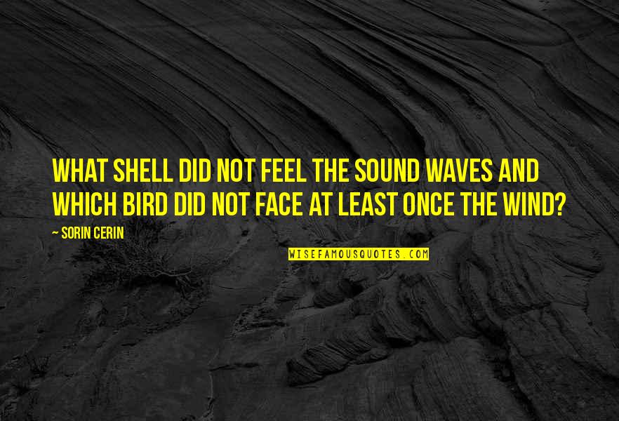 Lyricized Quotes By Sorin Cerin: What shell did not feel the sound waves Lyricized Quotes By Sorin Cerin: What shell did not feel the sound waves