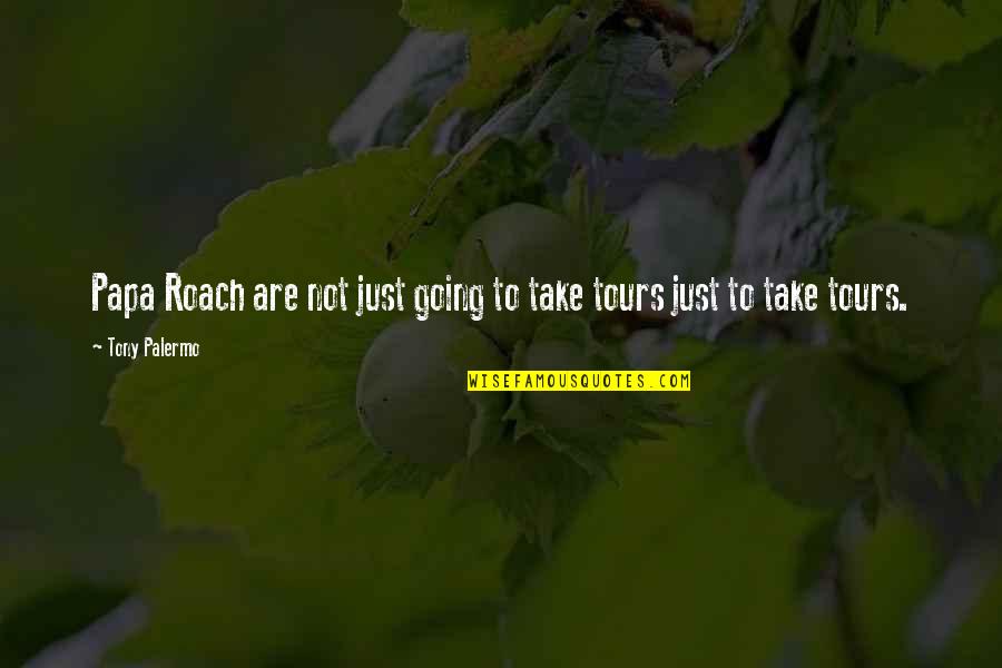Lysandra Ennar Quotes By Tony Palermo: Papa Roach are not just going to take