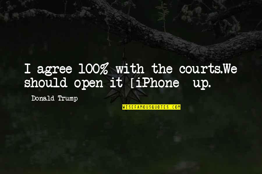 Lyverse Quotes By Donald Trump: I agree 100% with the courts.We should open
