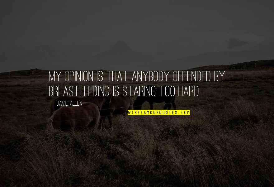 Lyzette Reveles Quotes By David Allen: My opinion is that anybody offended by breastfeeding