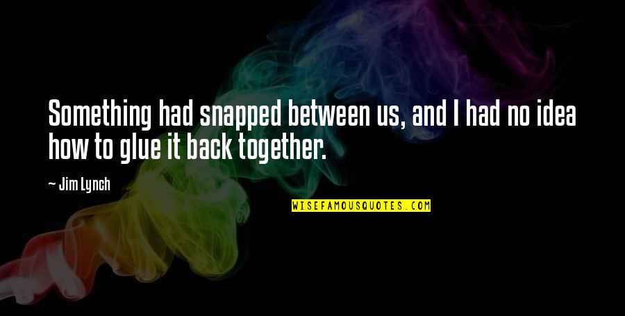 M Caniques Appliqu Es Quotes By Jim Lynch: Something had snapped between us, and I had