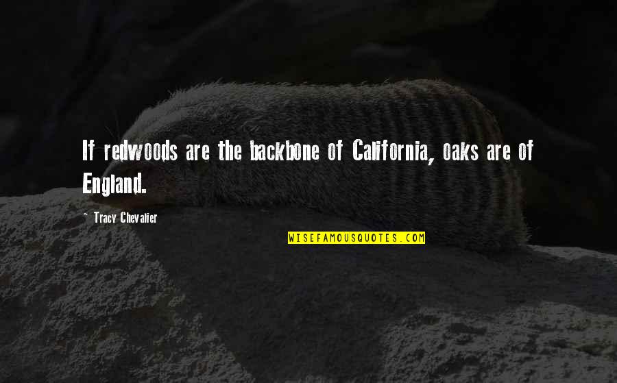M Chevalier Quotes By Tracy Chevalier: If redwoods are the backbone of California, oaks M Chevalier Quotes By Tracy Chevalier: If redwoods are the backbone of California, oaks