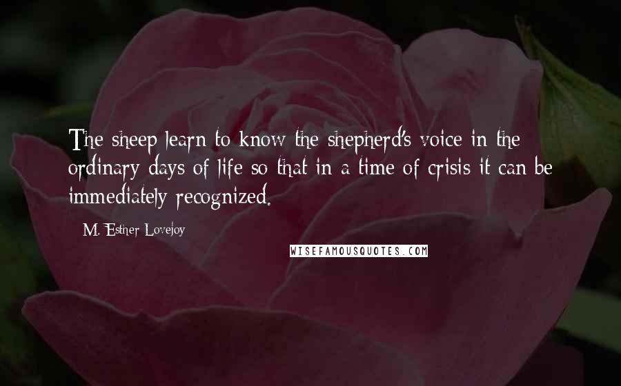 M. Esther Lovejoy quotes: The sheep learn to know the shepherd's voice in the ordinary days of life so that in a time of crisis it can be immediately recognized. M. Esther Lovejoy quotes: The sheep learn to know the shepherd's voice in the ordinary days of life so that in a time of crisis it can be immediately recognized.