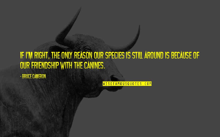 M.i.l.k Friendship Quotes By Bruce Cameron: If I'm right, the only reason our species M.i.l.k Friendship Quotes By Bruce Cameron: If I'm right, the only reason our species