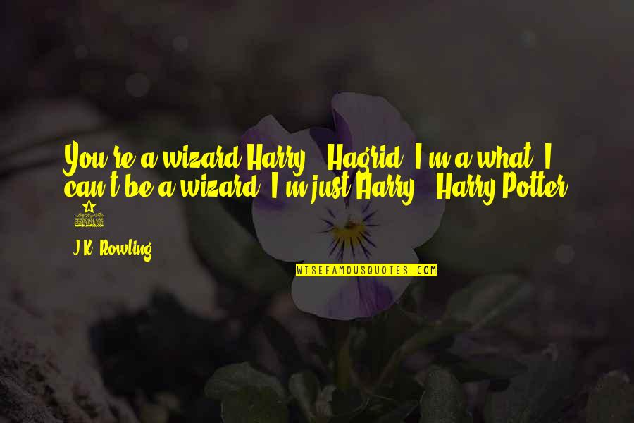 M.i.l.k Quotes By J.K. Rowling: You're a wizard Harry." Hagrid "I'm a what?